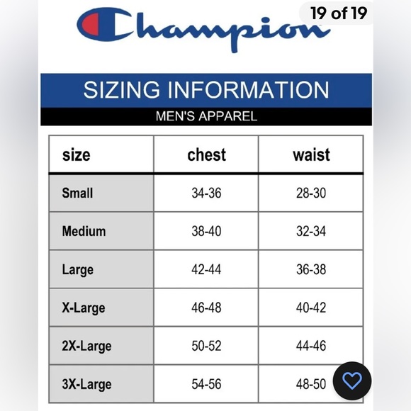 Champion Men’s Blue Vertical Spellout Crewneck Pullover L/S Sweatshirt/L-EUC - Picture 14 of 14